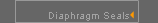 Diaphragm Seals